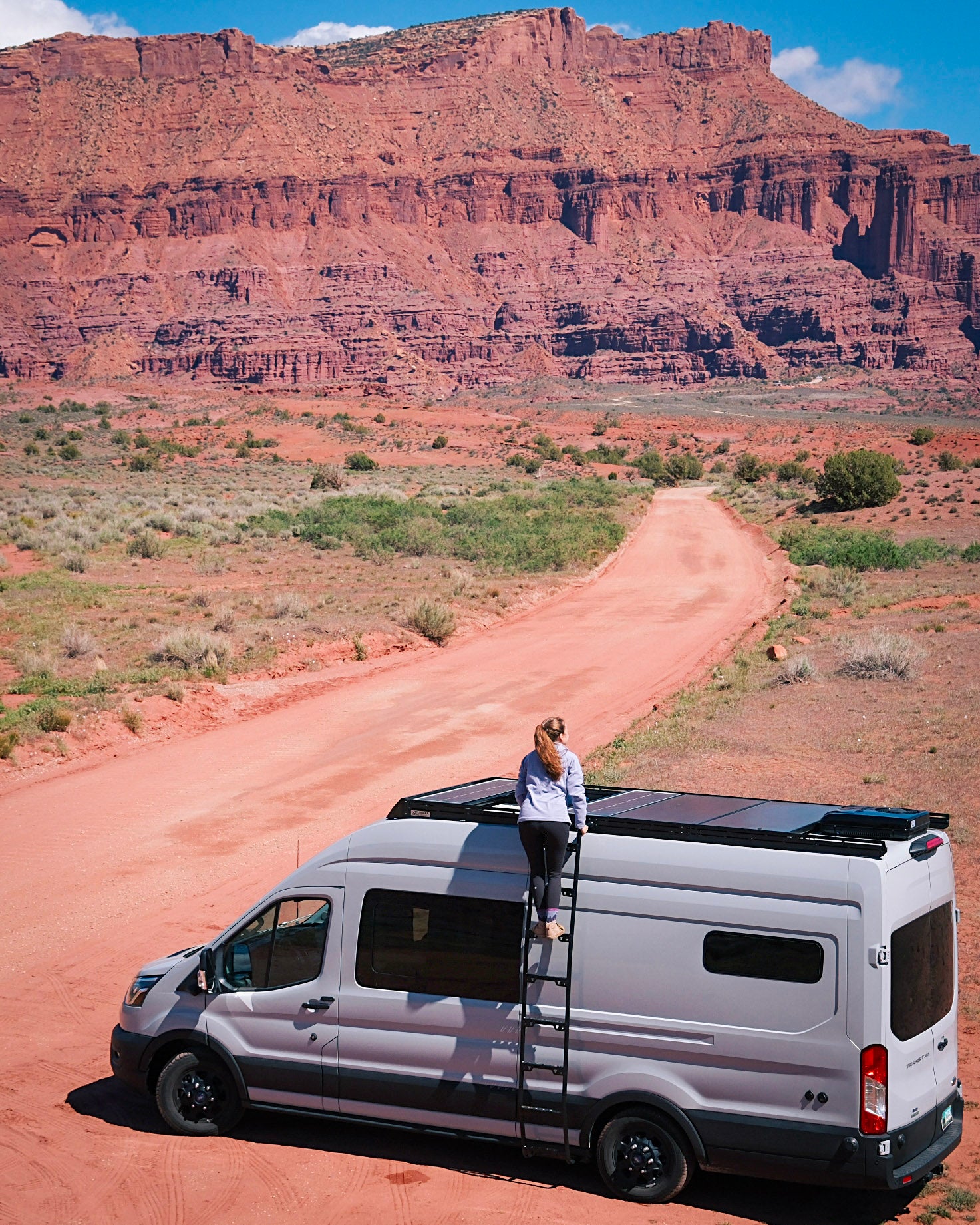 Ford Transit Side Mount Ladder - Medium Roof