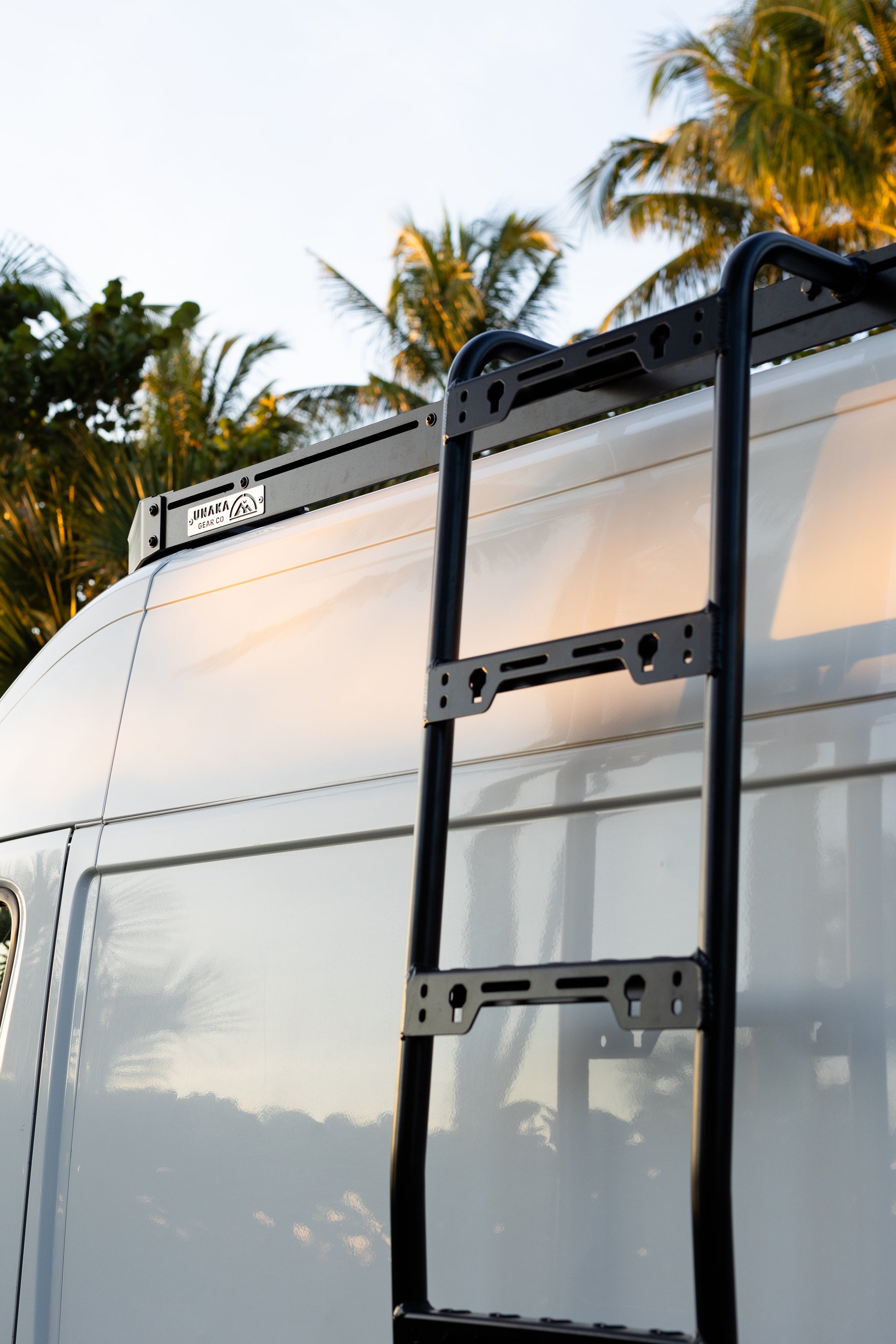 Ram ProMaster Side Mount Ladder